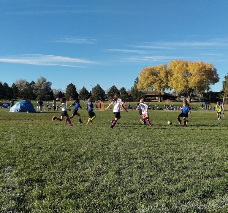 Soccer Field image 2