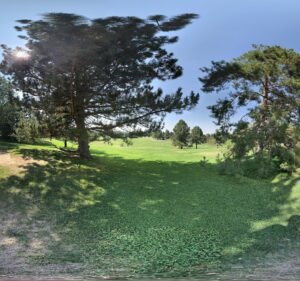 Soccer Field image 3