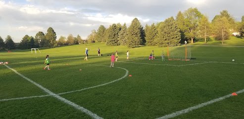 Soccer Field image 1