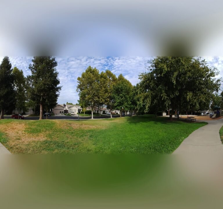 Soccer Field image 3