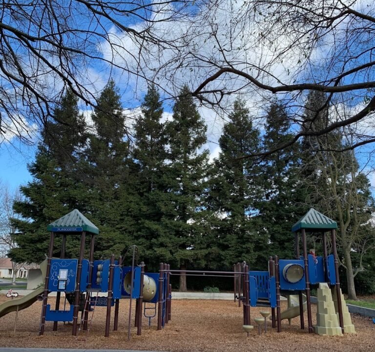 Soccer Field image 2