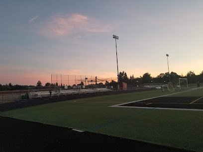 Soccer Field image 1