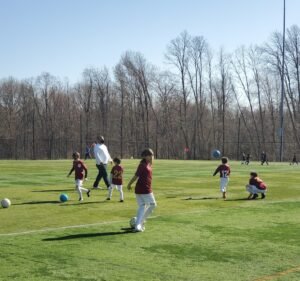 Soccer Field image 3