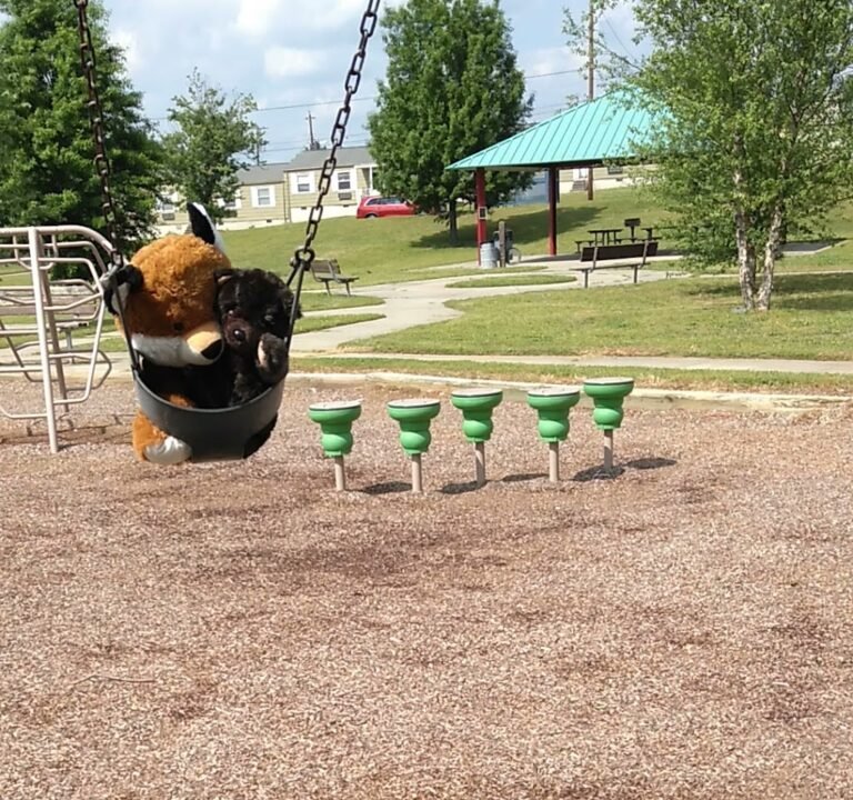 Soccer Field image 2