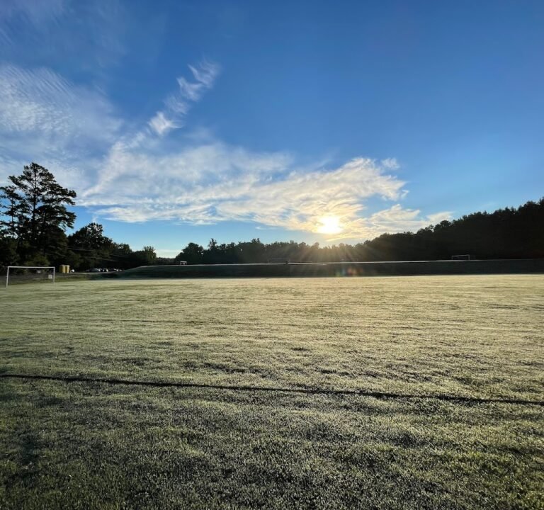Soccer Field image 2