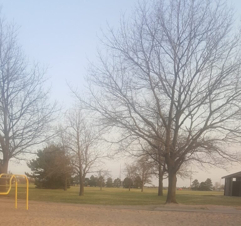 Soccer Field image 2