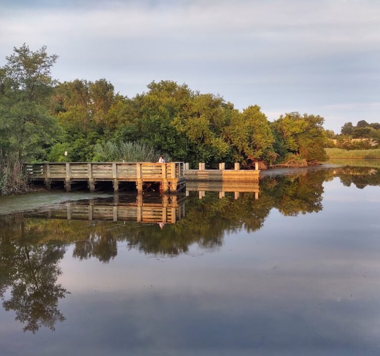 Soccer Field image 3