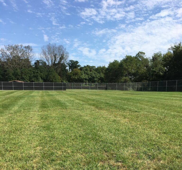 Soccer Field image 2