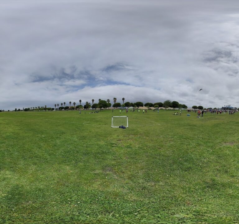 Soccer Field image 3
