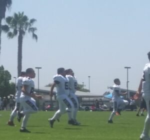 Soccer Field image 2