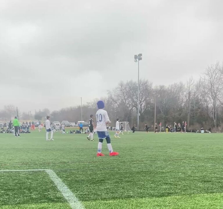 Soccer Field image 4