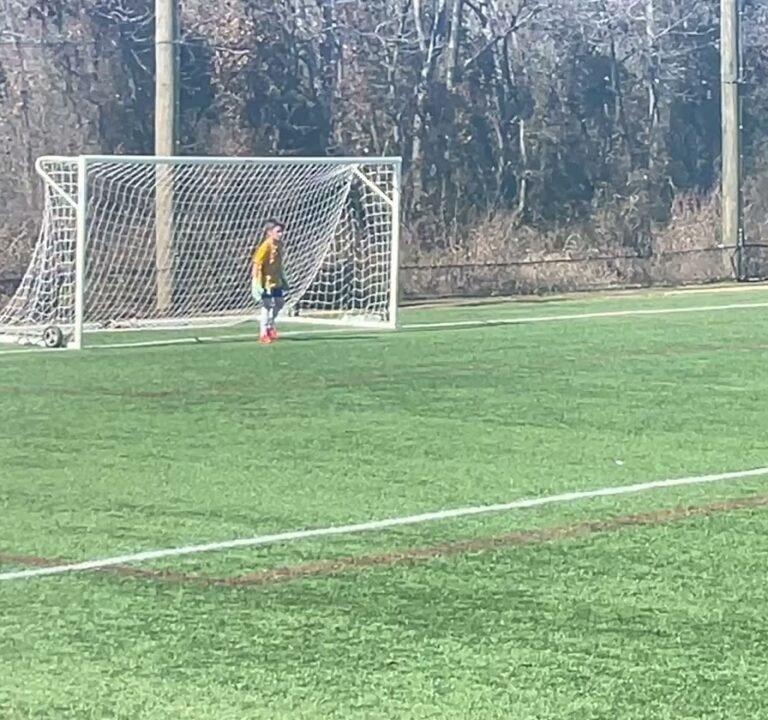 Soccer Field image 3