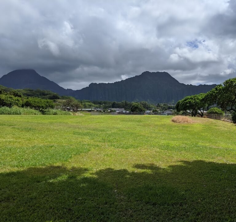 Soccer Field image 3