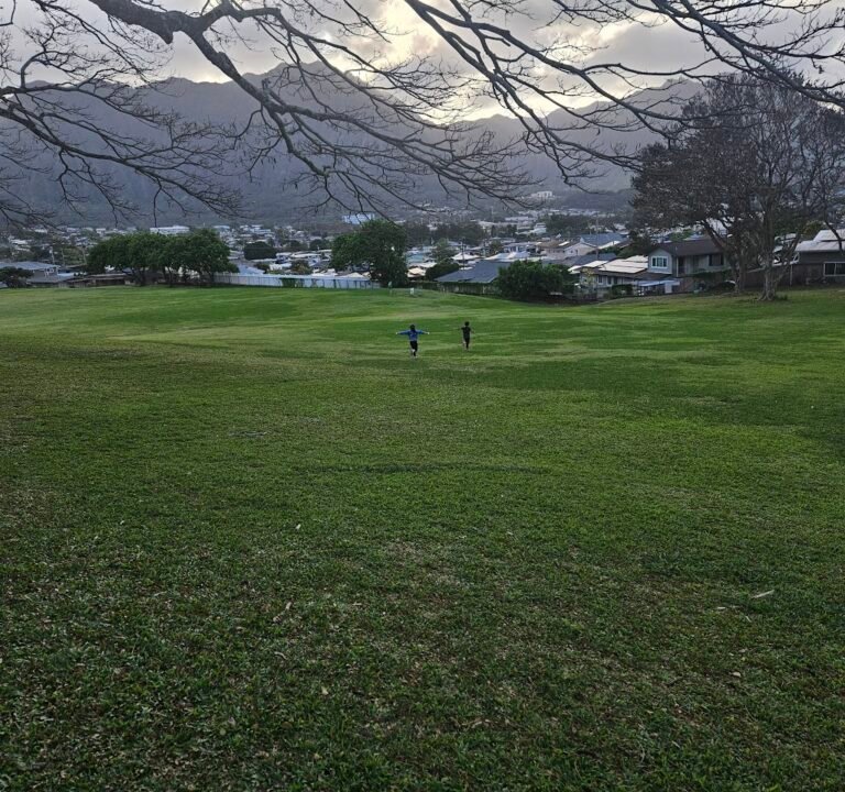 Soccer Field image 2
