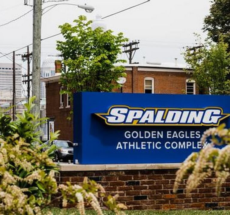 Soccer Field image 3