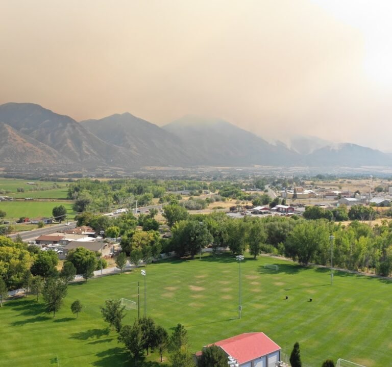 Soccer Field image 3
