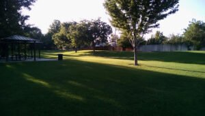 Soccer Field image 1