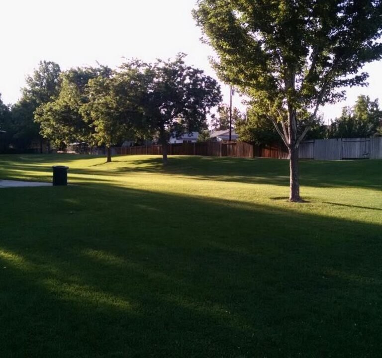 Soccer Field image 2