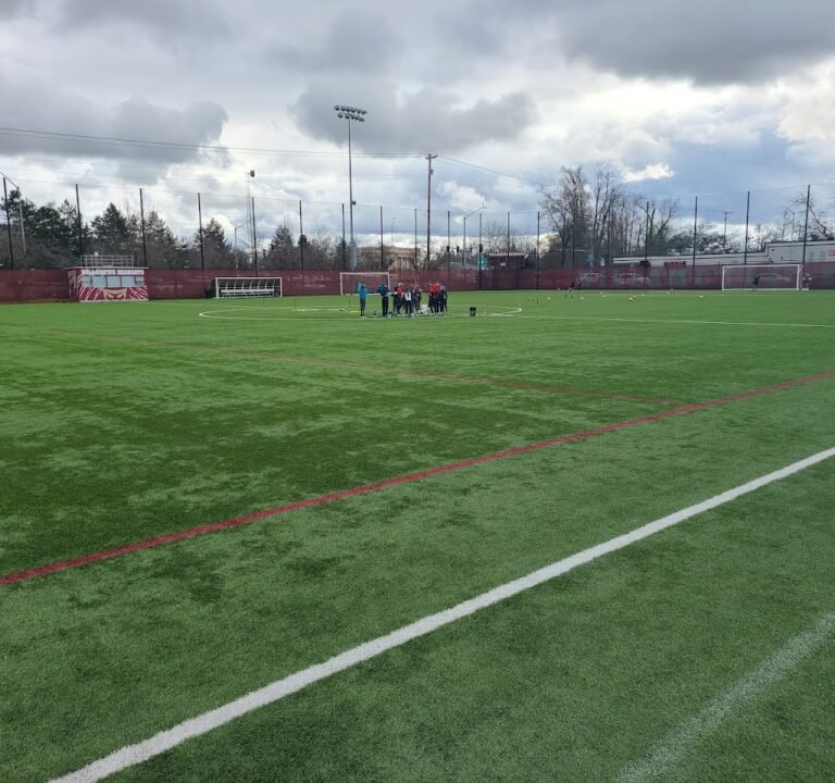 Soccer Field image 3