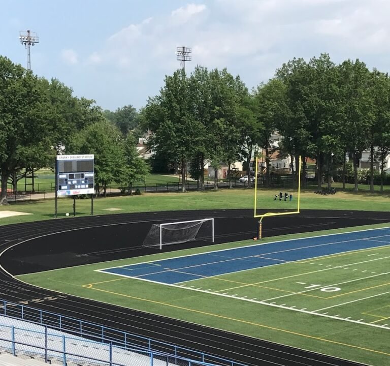 Soccer Field image 3