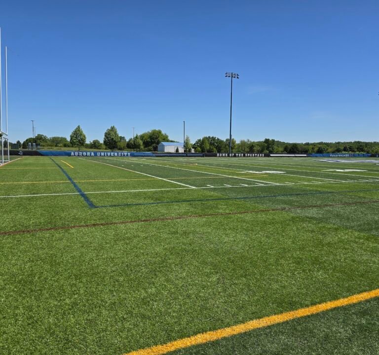 Soccer Field image 2