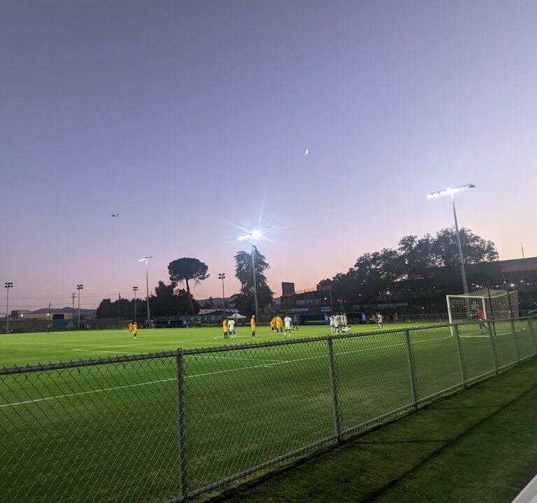 Soccer Field image 3