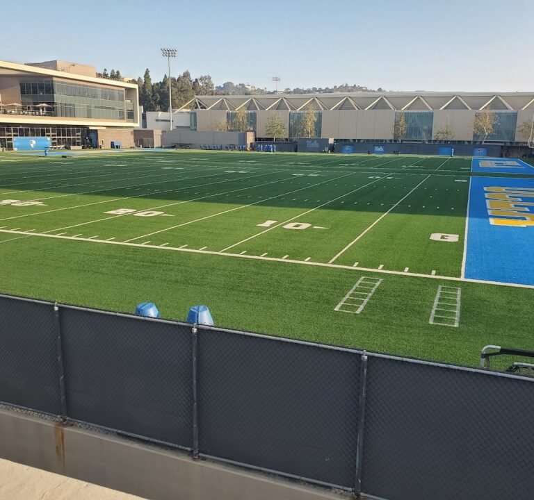 Soccer Field image 2