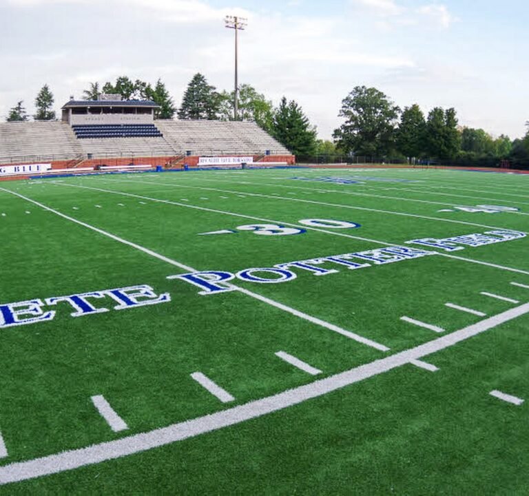 Soccer Field image 2