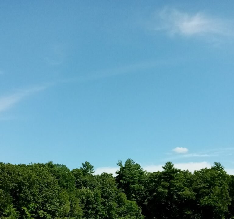 Soccer Field image 2