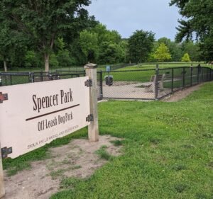Soccer Field image 3