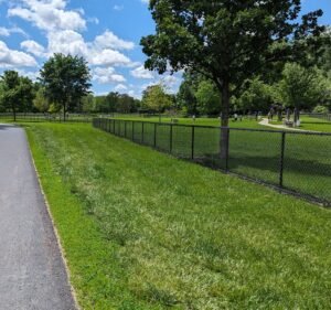 Soccer Field image 2