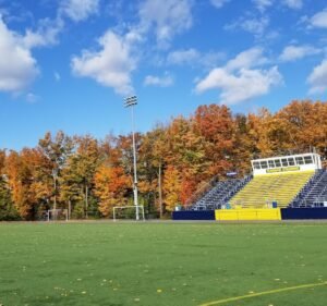 Soccer Field image 2