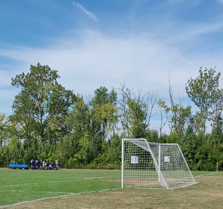 Soccer Field image 4