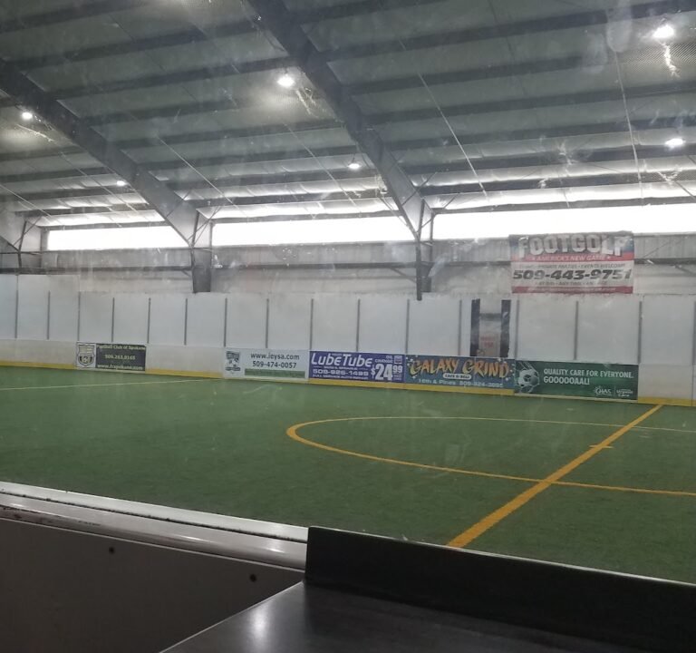 Soccer Field image 2