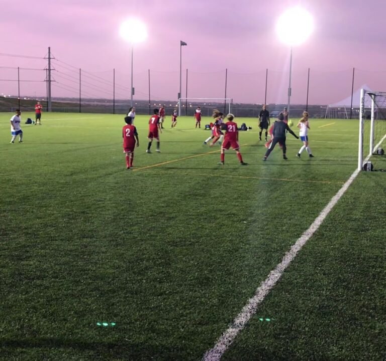 Soccer Field image 4