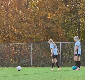 Soccer Field image 3