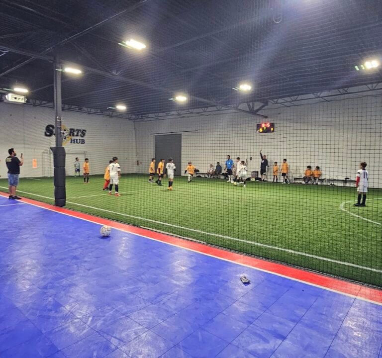 Soccer Field image 2