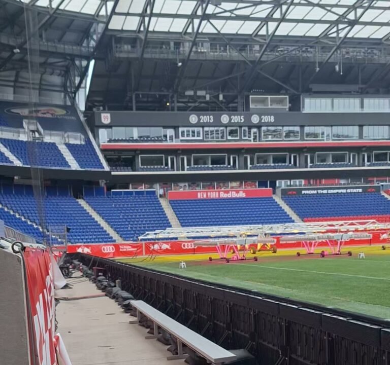 Soccer Field image 4