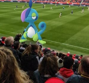 Soccer Field image 3