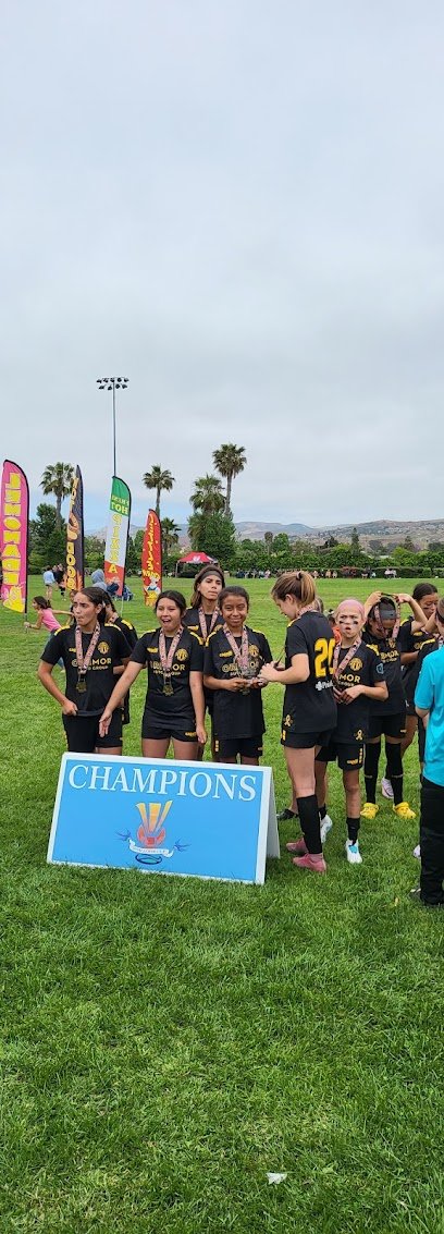 Soccer Field image 1