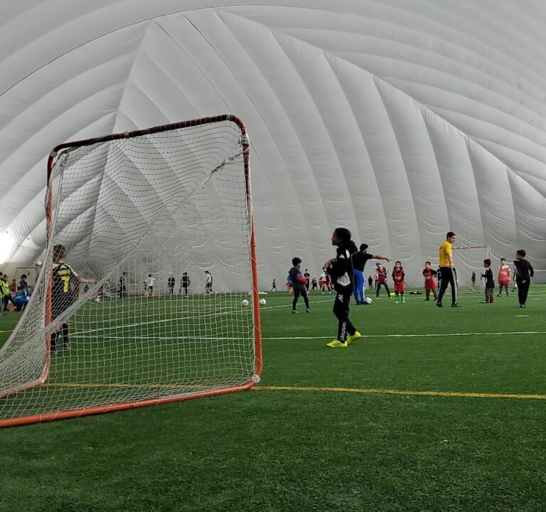 Soccer Field image 2