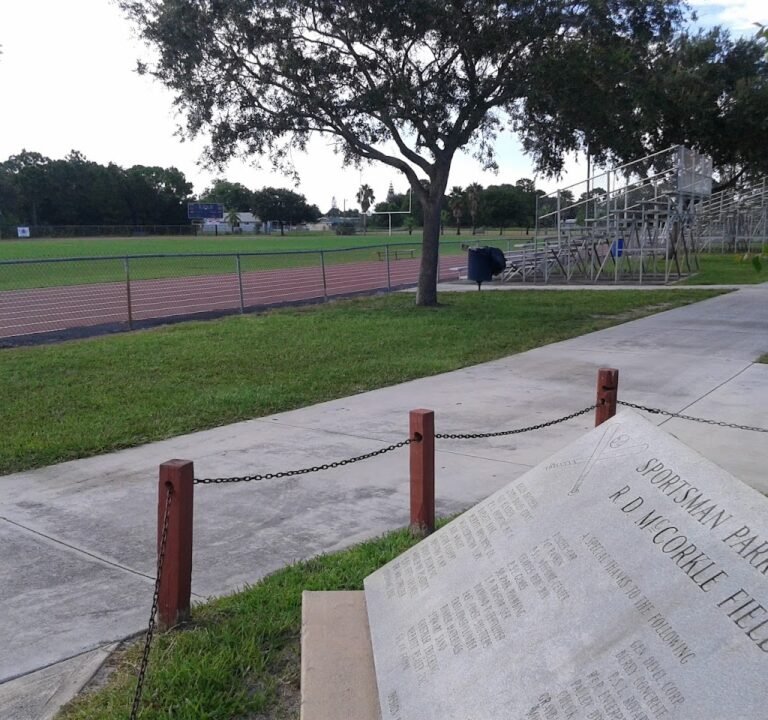 Soccer Field image 2