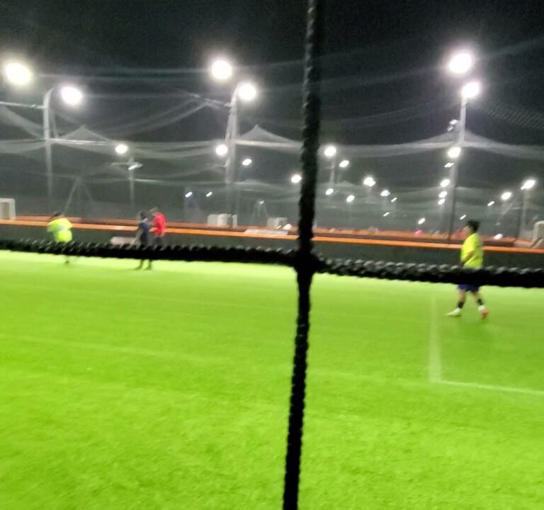 Soccer Field image 2