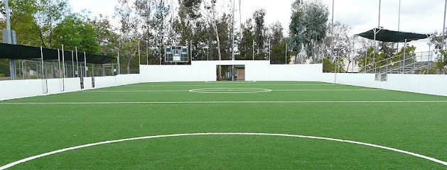 Soccer Field image 1