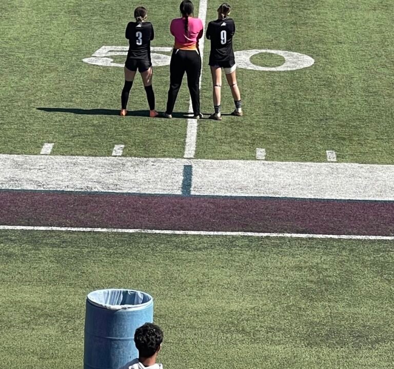 Soccer Field image 3