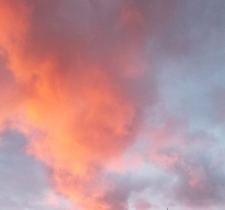 Soccer Field image 3