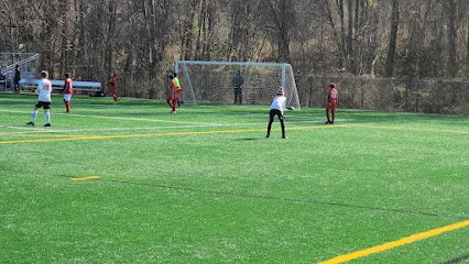 Soccer Field image 1