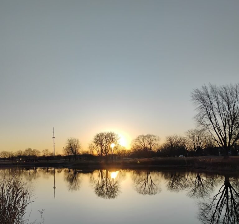 Soccer Field image 3