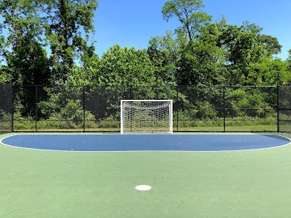 Soccer Field image 1