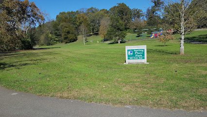 Soccer Field image 1